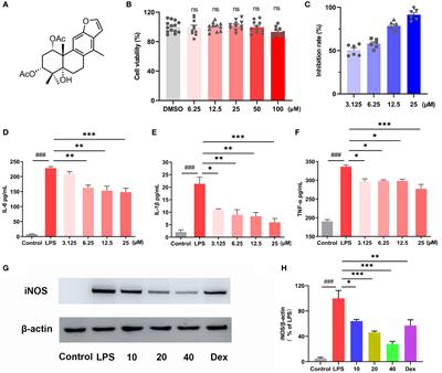 Cassane diterpenoid ameliorates dextran sulfate sodium-induced experimental colitis by regulating gut microbiota and suppressing tryptophan metabolism